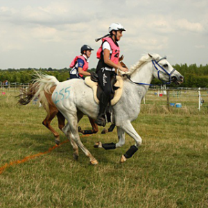 Greyson-winning-at-Keysoe-FEI-1--80kms-(2)R