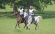 Royal Windsor Endurance